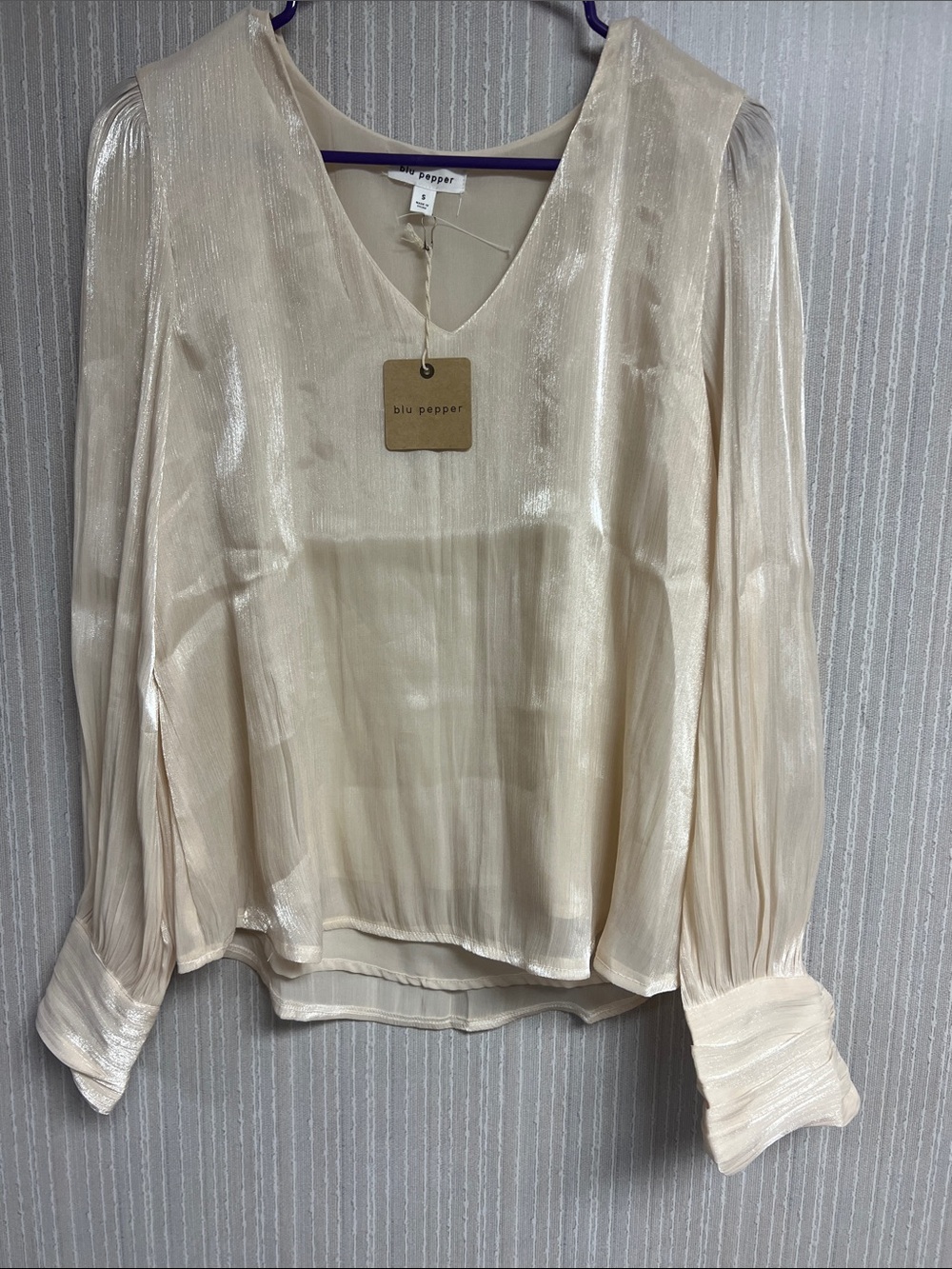 NWT S Blu Pepper Shimmery Cream V-Neck Long Sleeve Blouse lined